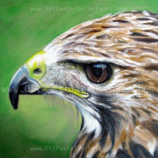 Oil Pastels Artist | Eric D. Greene